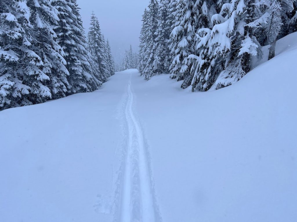 Our designated uphill route in the early morning of a powder day.